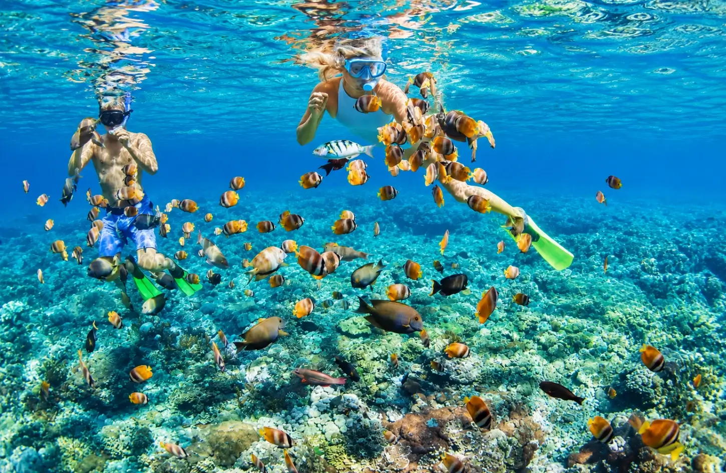 Snorkeling over vibrant coral reefs with tropical fish, one of the top things to do in Hurghada Egypt