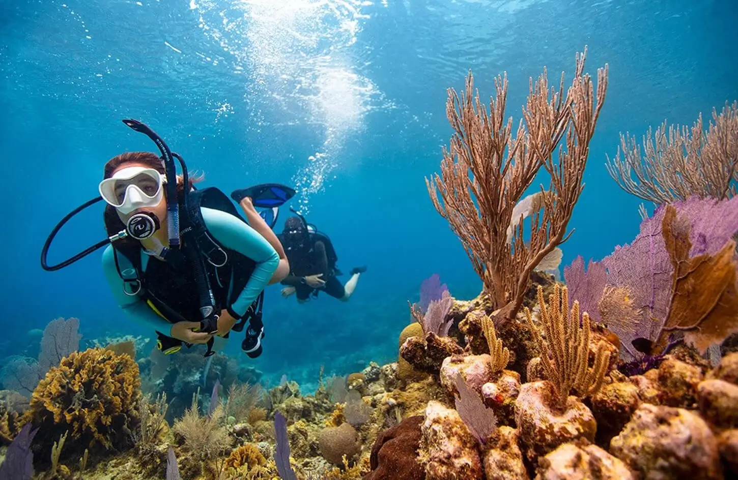 Snorkeler swimming above a coral reef in the Red Sea