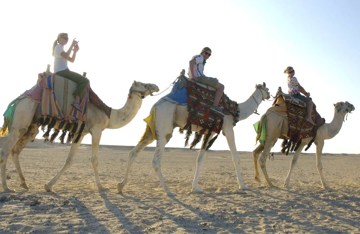 Group of tourists on a camel ride in the Hurghada desert